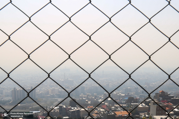 ویتامین‌های مفید برای مقابله با آلودگی هوا
