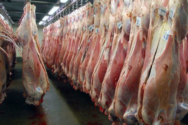 12 میلیارد ریال برای تولید گوشت قرمز به عشایر یزد پرداخت شد