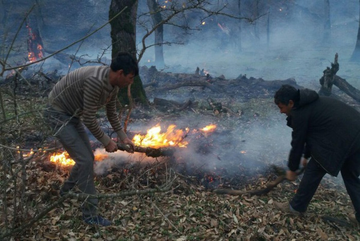علت ۹۵ درصد آتش‌سوزی‌های جنگل‌ها «انسانی» است