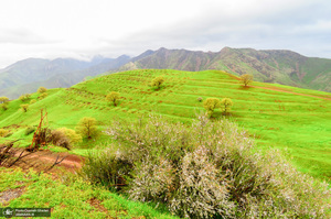 طبیعت زیبای نوسود