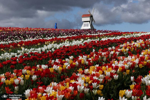 منتخب تصاویر امروز جهان - 31 فروردین 1404