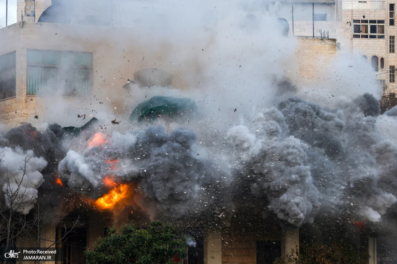 Lemurs_-Lego-and-dotty-dogs_-photos-of-the-day-–-Wednesday-_-News-_-The-Guardian-19