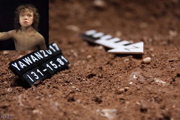 کشف نخستین دندان انسان نئاندرتال در ایران + عکس
