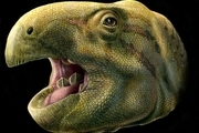 کشف یک دایناسور «زشت» با دندان‌های 7 سانتی‌متری/ عکس