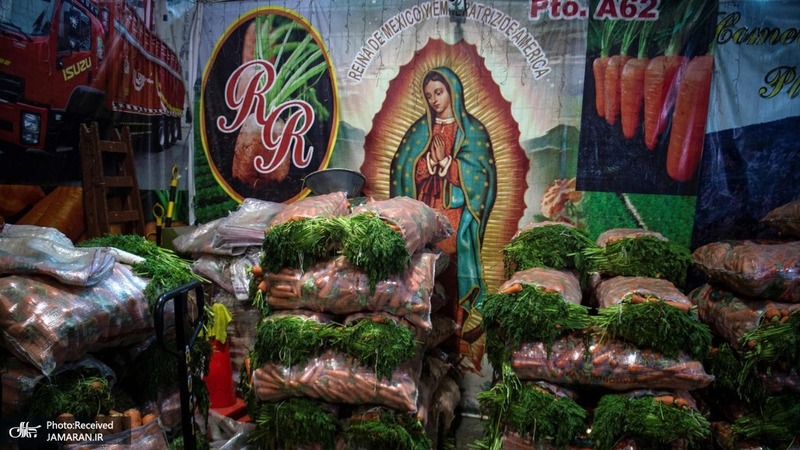 منتخب تصاویر امروز جهان - 4 اردیبهشت 1401