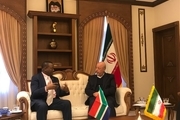 همکاری افریقای جنوبی و ایران با خروج امریکا از برجام کم نمی شود