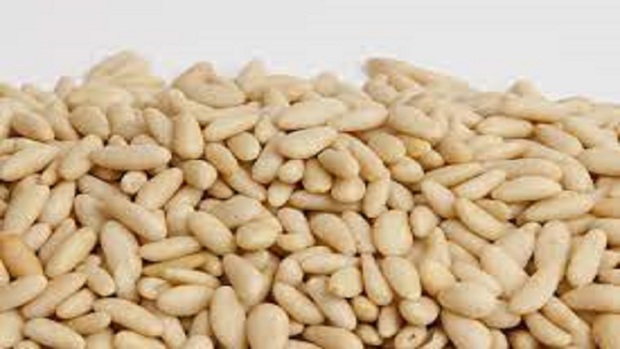 معجزه مغز کاج در زیبایی پوست
