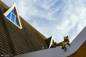 نمک‌آبرود / نمک آبرود