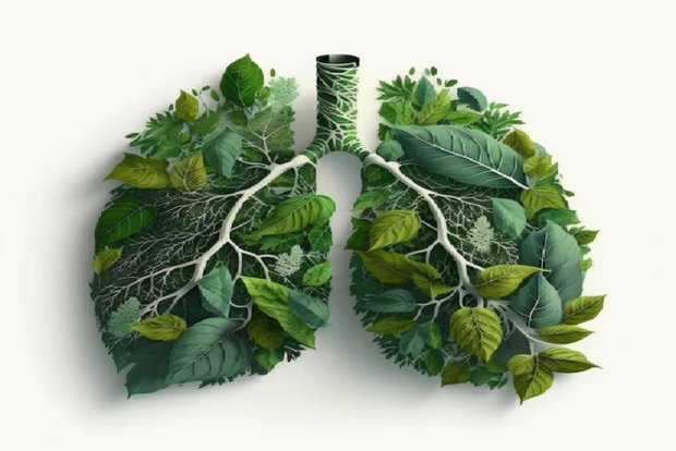 باغبانان ناجی ریه‌های انسان کشف شدند

