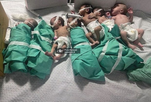 عکسی دردناک/ نوزادان فلسطینی در خطر مرگ