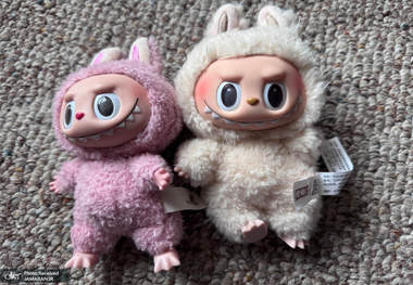 فیلم سینمایی لبوبو در راه است