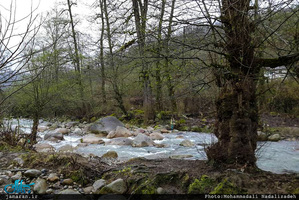 روستای امام زمین تنکابن 