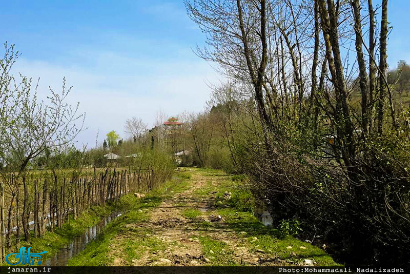 طبیعت رویایی ماسال گیلان