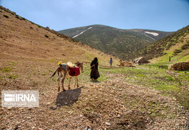 باران و روزگار خوش عشایر کهگیلویه و بویراحمد