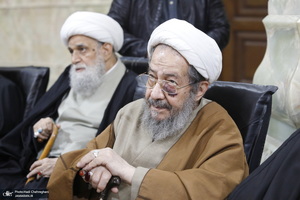 مراسم دومین سالگرد ارتحال آیت الله العظمی صافی گلپایگانی (ره) - مقتدایی