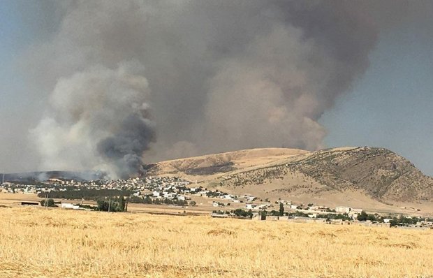 آتش عرصه های منابع طبیعی شرق گلستان مهار شد