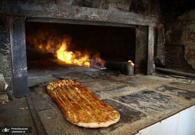 افزایش نرخ گندم، نان یارانه‌ای را گران نمی‌کند/ این تغییر نرخ در نرخ نان آزادپزها موثر است