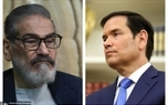 مذاکره علی شمخانی و مارکو روبیو تکذیب شد