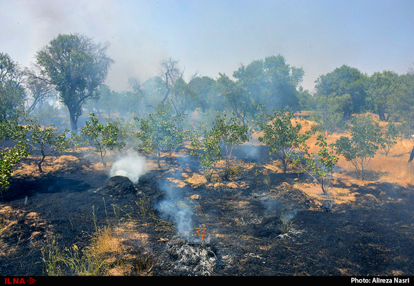 پرهیز کشاورزان آبیکی از آتش زدن مزارع