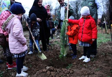 ۱۰ هزار اصله نهال در مبارکه توزیع می‌شود