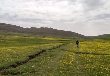 کاهش سطح منابع آب‌های زیرزمینی در ۳ دشت بوکان متوقف شد