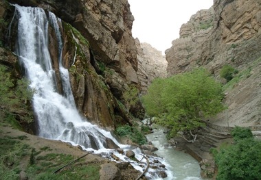 برنامه های پیشگیرانه درمنطقه گردشگری بیشه باید انجام شود