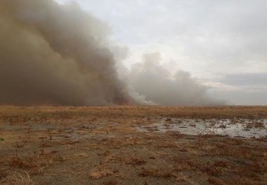 عامل انسانی دلیل آتش‌سوزی تالاب میقان