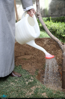 رهبر معظم انقلاب اسلامی دو اصله نهال میوه غرس کردند