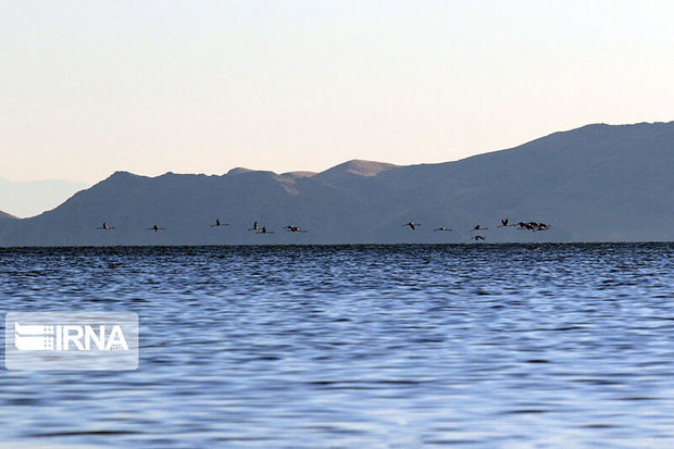 وسعت دریاچه ارومیه ۴۸۴‌ کیلومتر افزایش یافت
