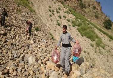 جمع آوری زباله های منطقه جنگلی دودان تا مرخیل توسط فعالان محیط زیست باینگان