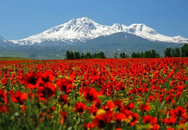 سبلان جهانی می‌شود