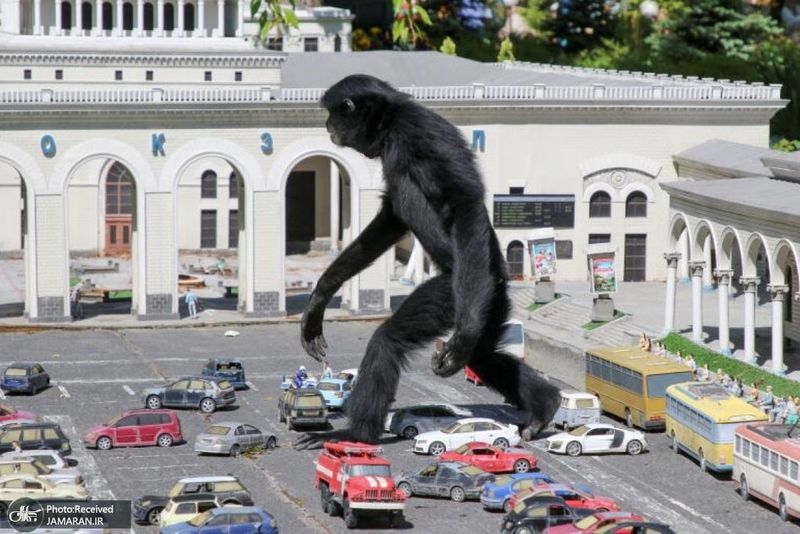 منتخب تصاویر امروز جهان- 4 خرداد 1400