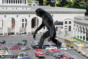 منتخب تصاویر امروز جهان- 4 خرداد 1400