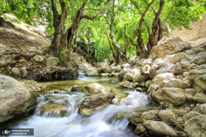 منتخب تصاویر امروز جهان- 22 تیر