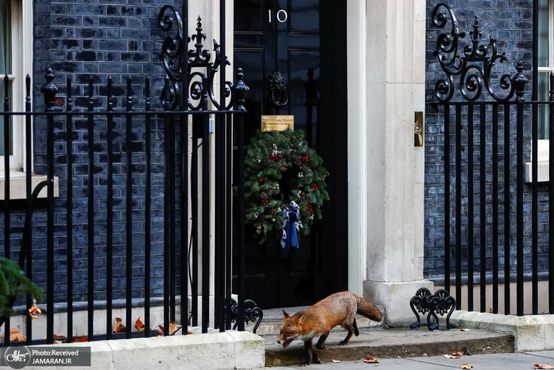 منتخب تصاویر امروز جهان - 16 آذر 1401