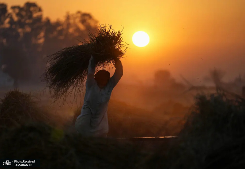 منتخب تصاویر امروز جهان - 15 آذر 1401