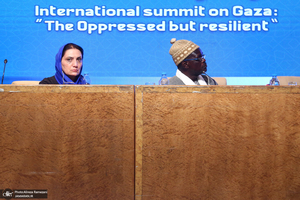 نشست های همایش بین المللی «غزه؛ مظلوم مقاوم»