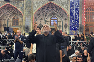 هم قدم با زائران اباعبدالله الحسین (ع)؛ حرم امیر المومنین (ع)