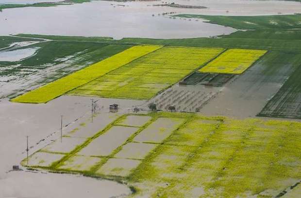 55 میلیارد ریال خسارت سیل به کشاورزان گلستان پرداخت شد