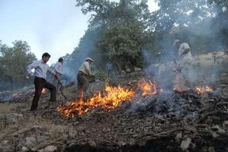 برگزاری رزمایش اطفای حریق در جنگل‌ها و مراتع ارسباران