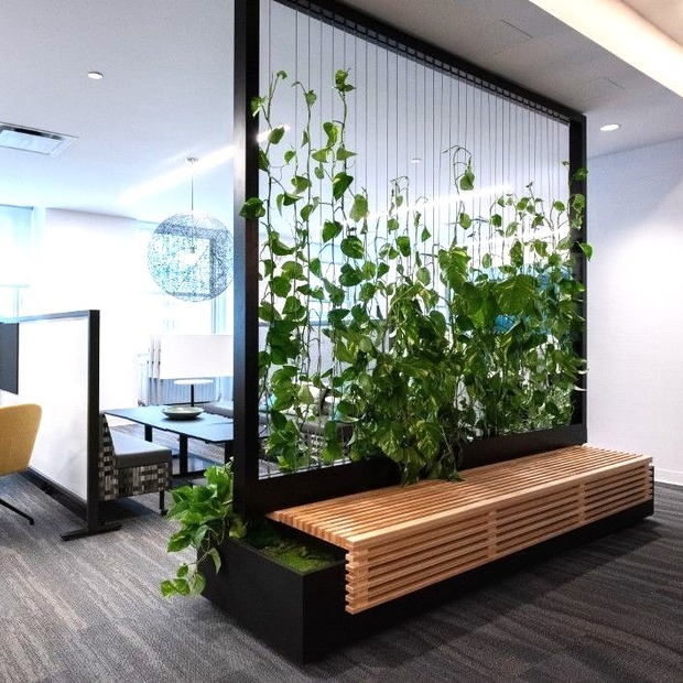 پارتیشن اداری با دیزاین بیوفیلیک: پیوندی سبز برای بهره‌وری بیشتر در محیط کار
