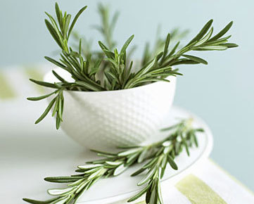 بهبود حافظه سالمندان با استشمام عطر رزماری