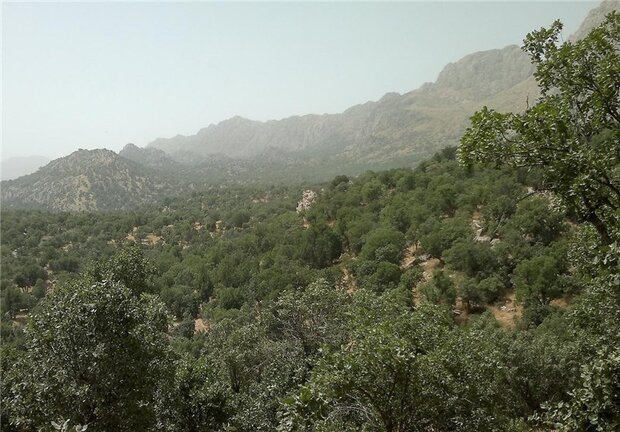 اراضی ملی شمیرانات زیر ذره بین نیروهای حفاظتی است