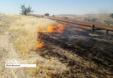 آتش زدن بقایای محصولات کشاورزی جرم است