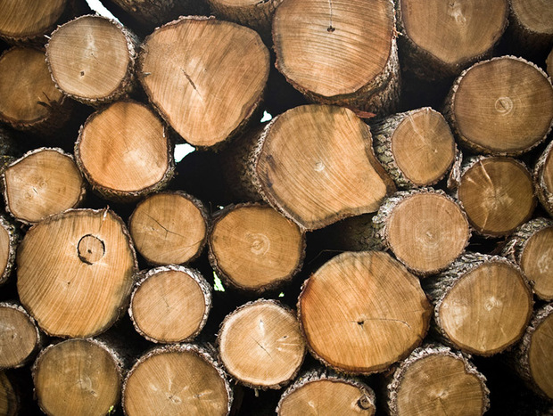 هشت تن چوب قاچاق جنگلی در کردکوی کشف شد