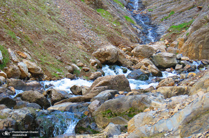 روستای سفیدآب پاوه