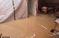 باران شدید وضعیت غزه را وخیم تر کرد (2)