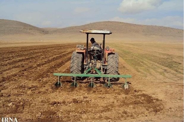 کشت گندم پاییزه در بیش از ۳۳ هزار هکتار از مزارع شاهین‌دژ