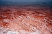 سطح و حجم آب دریاچه ارومیه کاهش یافته است