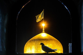 چرا به امام رضا(ع) ضامن آهو می گویند؟